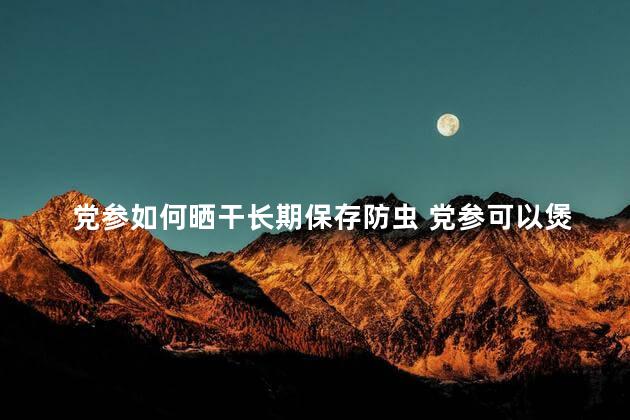 党参如何晒干长期保存防虫 党参可以煲鸡汤吗